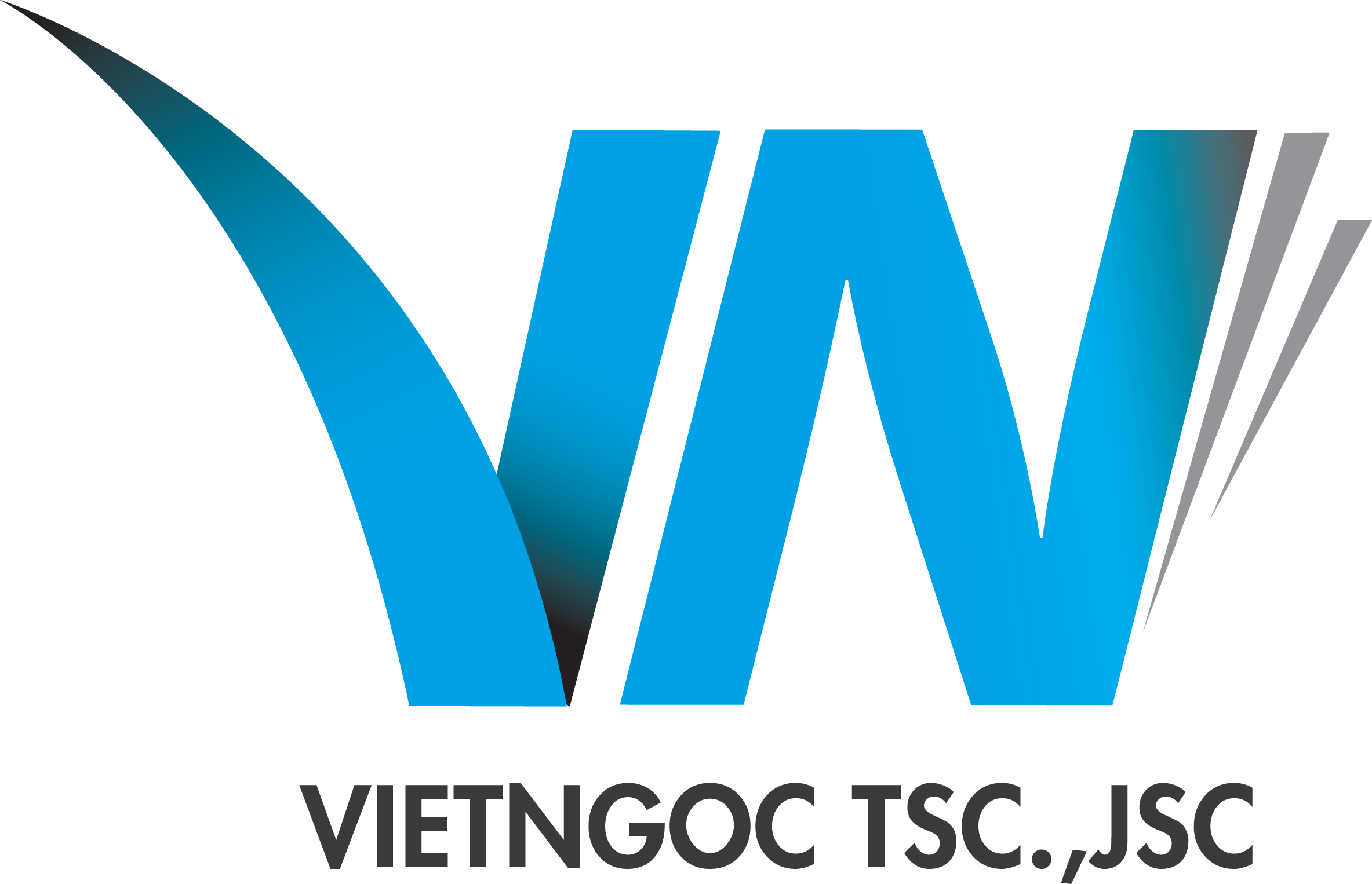 VIET NGOC INTERNATIONAL HUMAN RESOURCE STOCK COMPANY